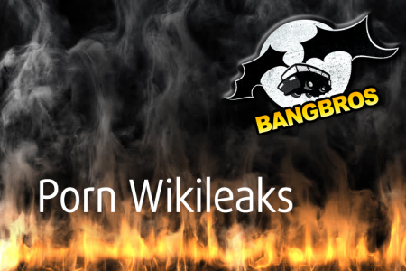 Сайт Pornwikileaks уничтожен Bangbros