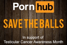 PornHub и акция "Спаси яйца"